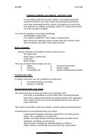 sol auto body construction.doc